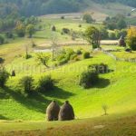 sinkholes Ponoara mtb Padurea Craiului Apuseni