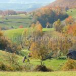sinkholes rosia Padurea Craiului Apuseni