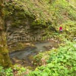 toplita de rosia karstic spring hiking Padurea Craiului Apuseni