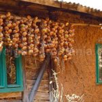 traditional house Padurea Craiului Apuseni