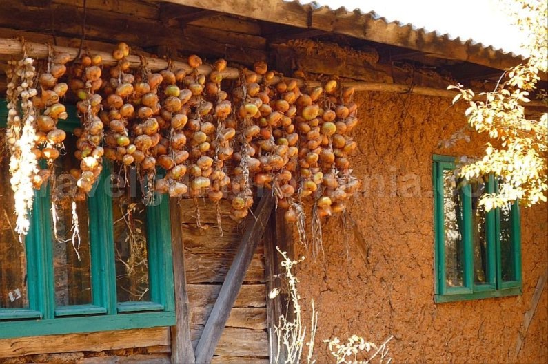 traditional house Padurea Craiului Apuseni