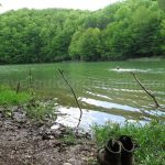 vida lake Padurea Craiului Apuseni