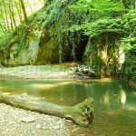 videi gorges Padurea Craiului Apuseni