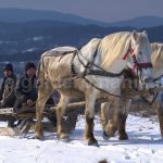 zece hotare traditional  Padurea Craiului Apuseni