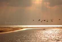 The Danube Delta – a world of contrast Danube Delta Nature Reserve