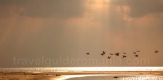 The Danube Delta – a world of contrast Danube Delta Nature Reserve