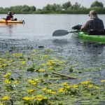 Danube Delta Nature Reserve kayak