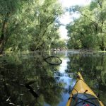 Danube Delta Nature Reserve kayak holiday