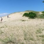 Danube Delta Nature Reserve letea sand dunes
