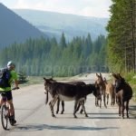 latoritei mountains romania transalpina road mountain-biking