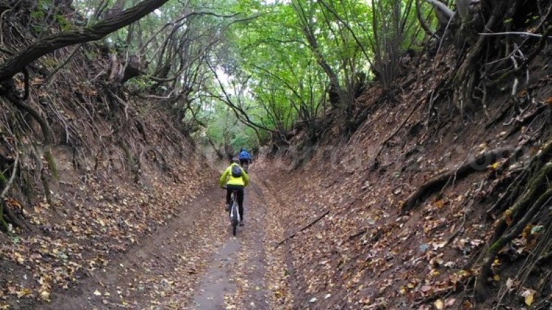 Natural Reservation Cheile Nerei – Beusnita red band mountain-biking