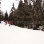 Snowshoeing trips in Romania – guided trips