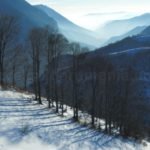 The Domogled – Valea Cernei National Park