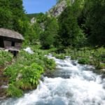 The Domogled – Valea Cernei National Park spring