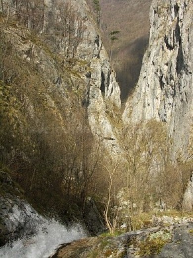 The Domogled - Valea Cernei National Park