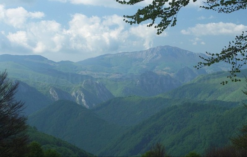 The Domogled - Valea Cernei National Park