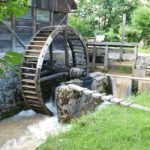 mill rosia Padurea Craiului Apuseni