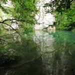 IMG_7445m