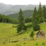 Călimani Dornelor county