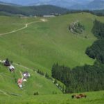 Ecoturism Destination – Tara Dornelor suhard monastery