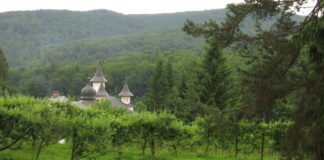 The ecotouristic destination Ținutul Zimbrului (The Bison Land) The Bison Land Natural Park Vanatori Neamt monastery