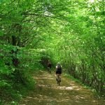 The Vascau Karst Plateau – The Apuseni Mountains mtb