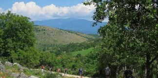 The Vaşcău Karst Plateau– The Apuseni Mountains The Vaşcău Karst Plateau– The Apuseni Mountains hay