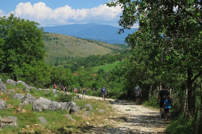 The Vaşcău Karst Plateau– The Apuseni Mountains hay