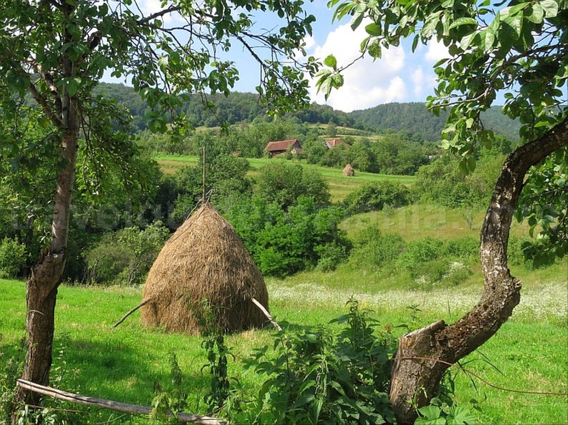The Vaşcău Karst Plateau– The Apuseni Mountains hay