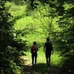 karst area Rosia in Padurea Craiului Mountains