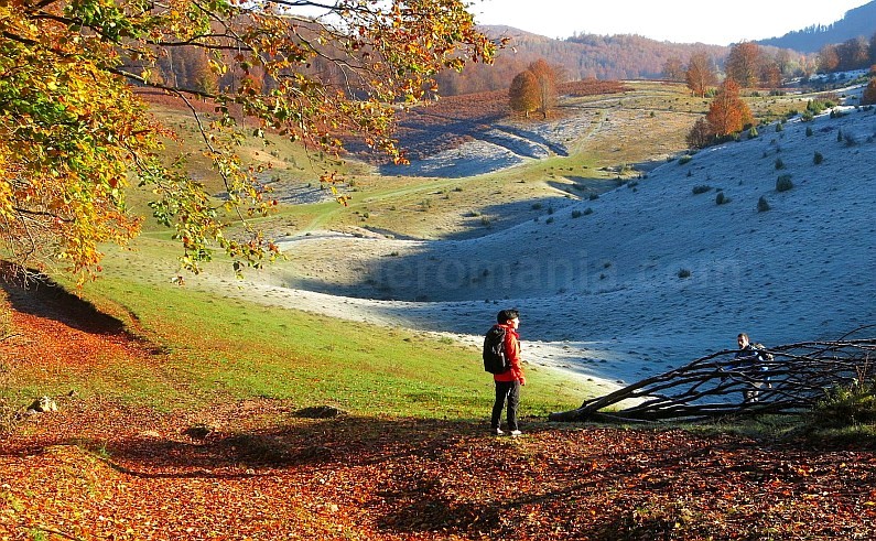 karst area Rosia in Padurea Craiului Mountains
