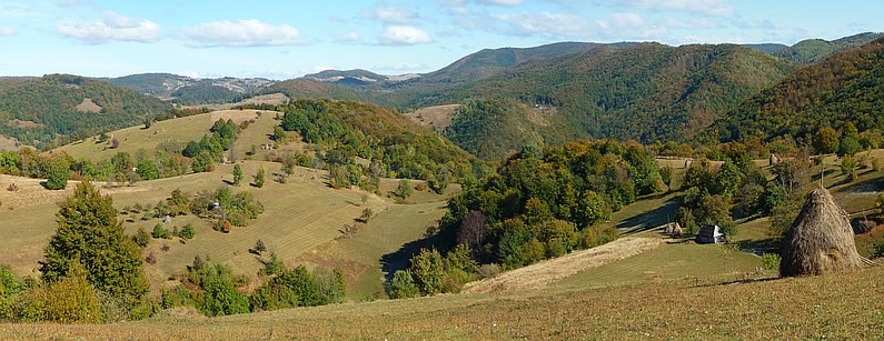 karst area Rosia in Padurea Craiului Mountains