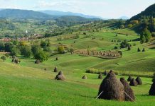 Visiting the karst area Rosia in Padurea Craiului Mountains karst area Rosia in Padurea Craiului Mountains