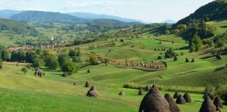 Visiting the karst area Rosia in Padurea Craiului Mountains karst area Rosia in Padurea Craiului Mountains