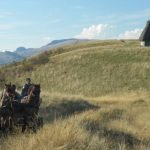 trascau-mocani-hayroof