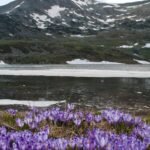 18579801517058158_travelguideromania