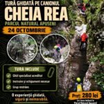 18414306988095573_travelguideromania